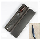 Professional kitchen knife in black protective case.